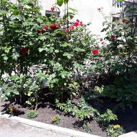 Apartman Kur Ort